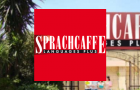 Sprachcaffe Malta Dil Okulları